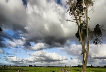 巴萨客场险胜马竞，总比分5-4晋级国王杯决赛将战皇马.：88直播